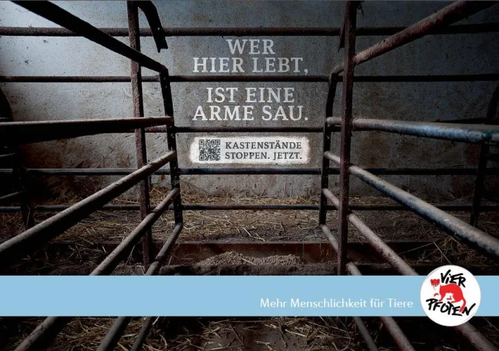 Bild: „Wer hier lebt, ist eine arme Sau“ / VIER PFOTEN veröffentlicht neues Kampagnen-Motiv