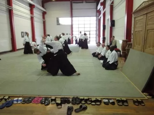 Bild: Aikido-Seminar mit Grossmeister Frank Noël in Altona