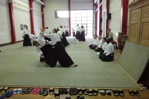 Bild: Aikido-Seminar mit Grossmeister Frank Noël in Altona