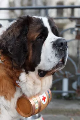 Bild: ELB COMMUNICATION organisiert Hüttengaudi im hohen Norden