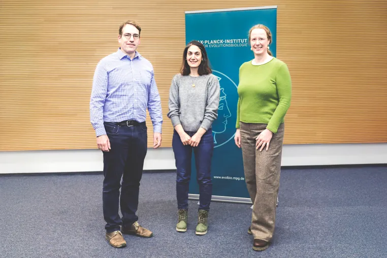 Bild: Neue Forschungsgruppe am Max-Planck-Institut für Evolutionsbiologie nimmt ihre Arbeit auf