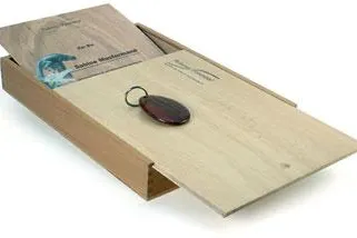 Bild: Das etwas andere Weihnachtsgeschenk: der GeschenkBaum