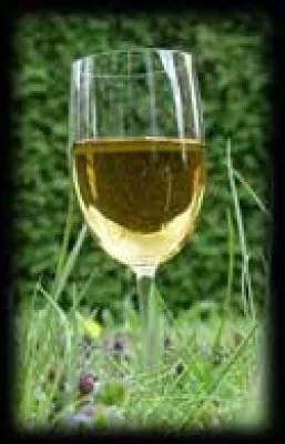 Bild: Ein Filmprojekt zeigt eine Lösung für zahlreiche gesellschaftliche Probleme