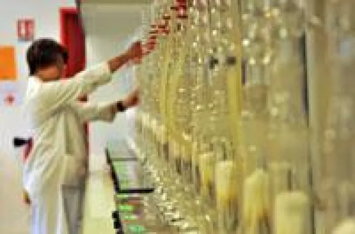 Bild: Die Haute-Normandie sieht grün