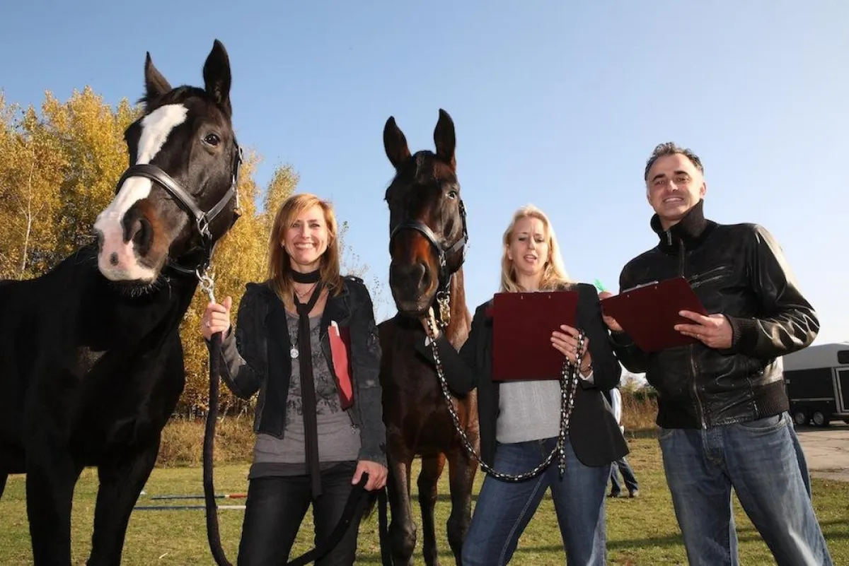 Pferdegestützte Burnoutprävention in Berlin und Brandenburg