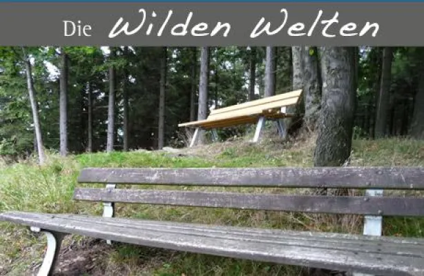 Bild: Samstag 07.03.2009 - Geführte Wanderung auf dem Hohen Knochen im Sauerland