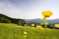 Bild: Die reinste Gartenfreude im Bayerischen Wald