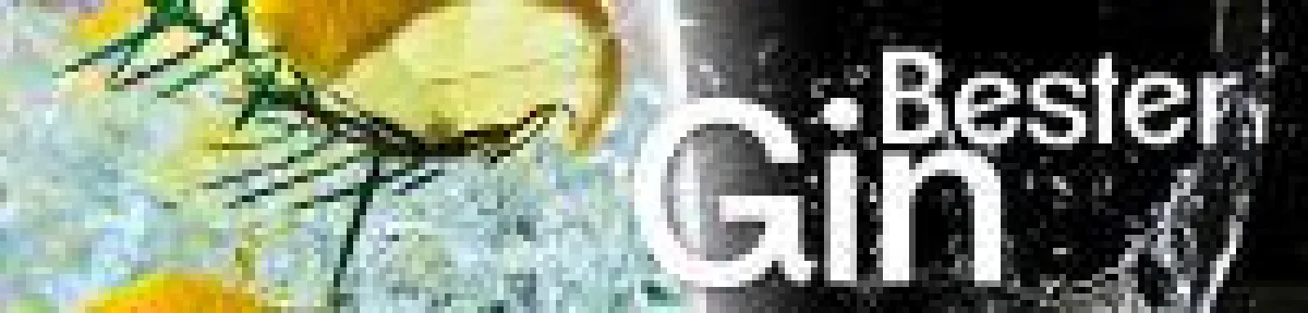 Den besten Gin ganz einfach finden