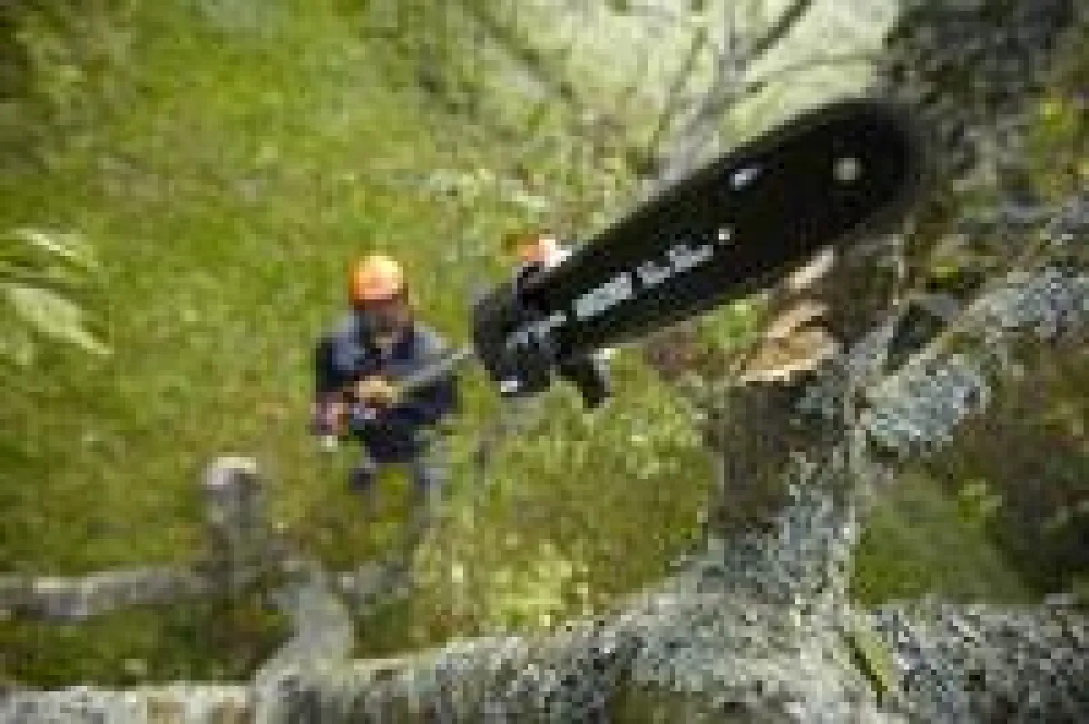 (c) ECHO Motorgeräte