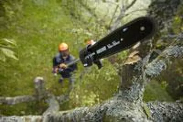 Bild: Hochentaster reduzieren Arbeitsunfallrisiko