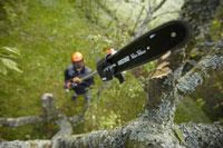 Bild: Hochentaster reduzieren Arbeitsunfallrisiko