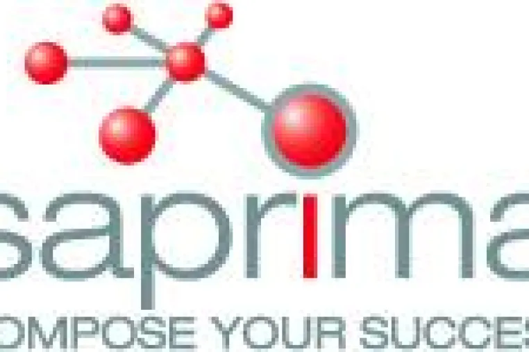 saprima® - die professionelle Erweiterung zu MS Project und anderen Standardsystemen Bild: saprima® - die professionelle Erweiterung zu MS Project und anderen Standardsystemen