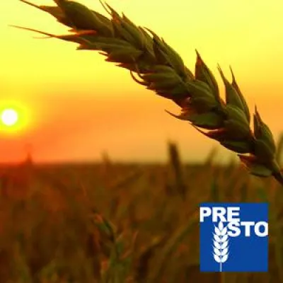 Bild: Rückzug aus dem Forex – Finanzdienstleister empfehlen verstärkt Rohstofftageshandelskonten