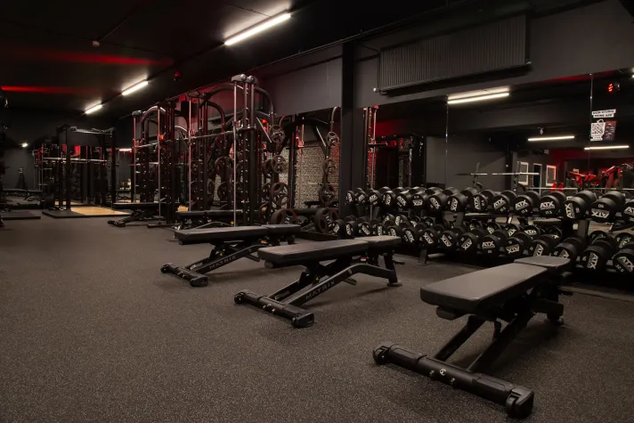 Bild: wellyou goes Wismar!