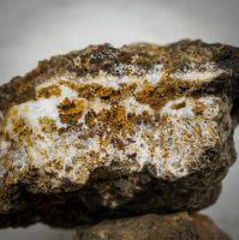 Quelle: Aurania Resources
