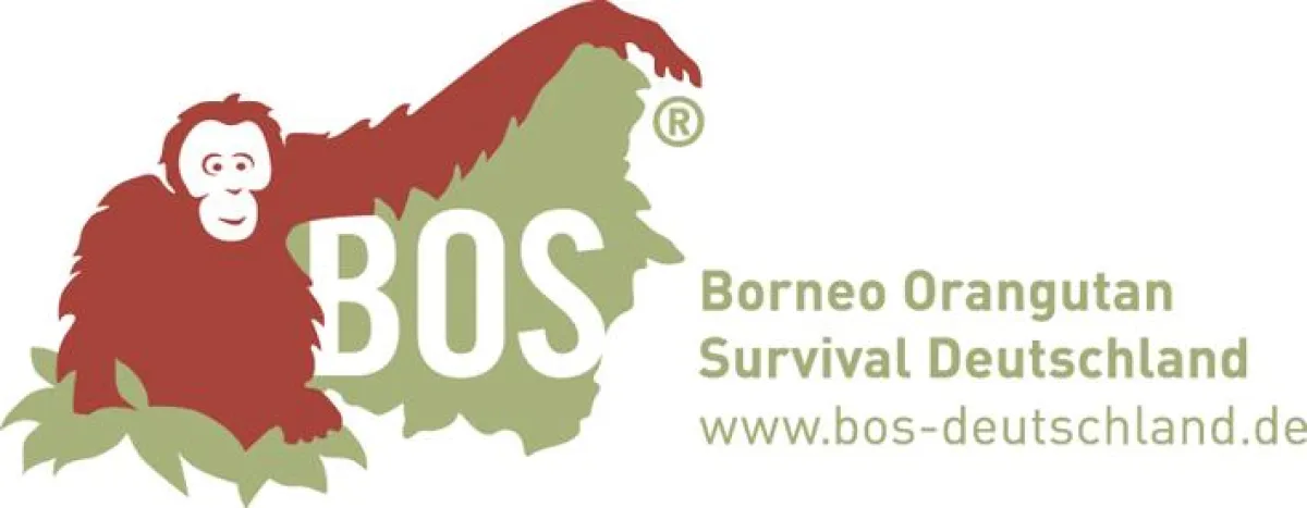 Borneo Orangutan Survival Deutschland (BOS) e.V.