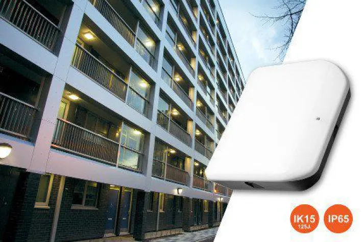 Bild: Schlagende Argumente von Designplan