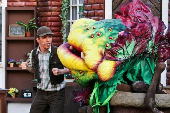 Bild: Erfolgsmusical "Der kleine Horrorladen"