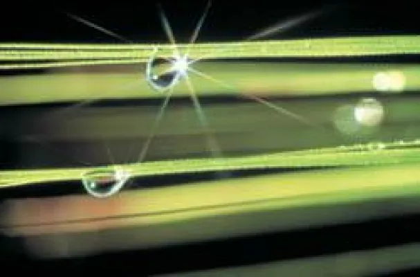 Bild: Neue Ausstellung im Bürgerpark - Klaus Ender - „Jenseits der Hast“