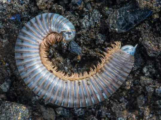 Bild: Mehr zum Thema Schärfe geht nicht: Fotoworkshop „Knackig scharfe Fotos“ in Hannover