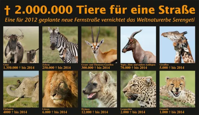 Bild: Eine für 2012 geplante Schnellstraße vernichtet das Weltnaturerbe die Serengeti