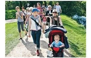 Bild: Hamburg hat die Wahl - WWF, NestWerk oder Street Kids International