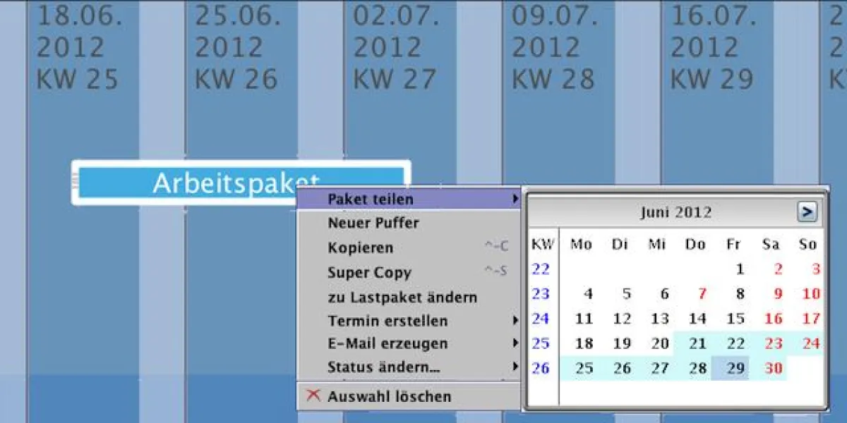 Projektmanagement-Software von Can Do: Paket per Mausklick teilen
