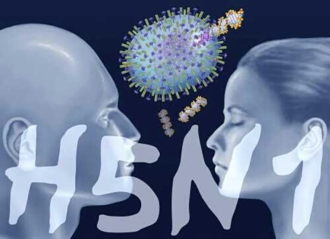 H5N1 Virus
