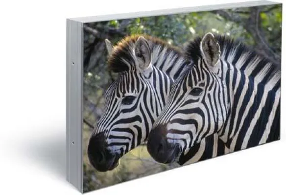 Bild: Neu im ict Produktportfolio: Steglos Plasma Display MIS-4220