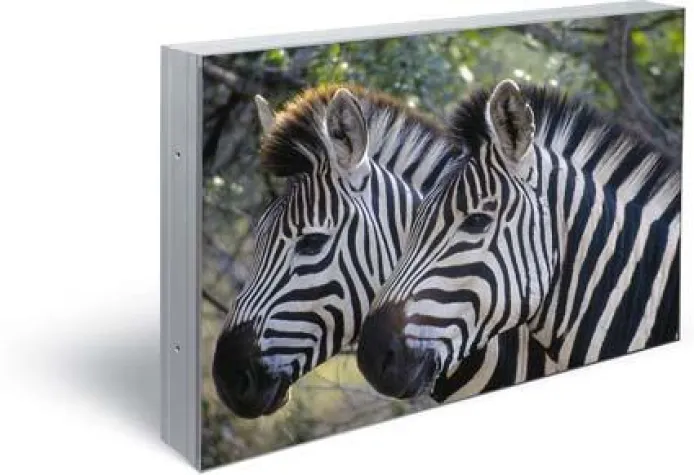 Bild: Neu im ict Produktportfolio: Steglos Plasma Display MIS-4220