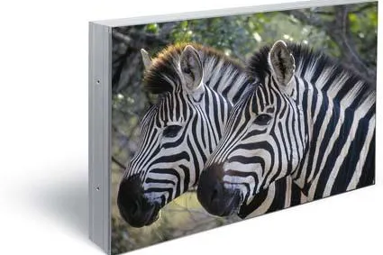 Bild: Neu im ict Produktportfolio: Steglos Plasma Display MIS-4220