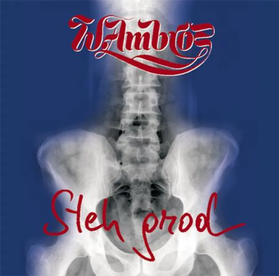 Wolfgang Ambros - Steh\' grod