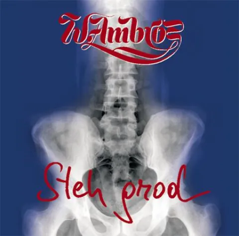 Wolfgang Ambros - Steh' grod Bild: Wolfgang Ambros - Steh' grod