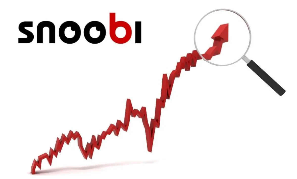 Snoobi Webanalyse & Webcontrolling für Marketing, Verkauf und Vertrieb