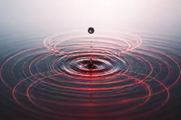 Bild: VENDORMAX baut Partnernetzwerk weiter aus – auf dem Weg zu einem skalierenden System