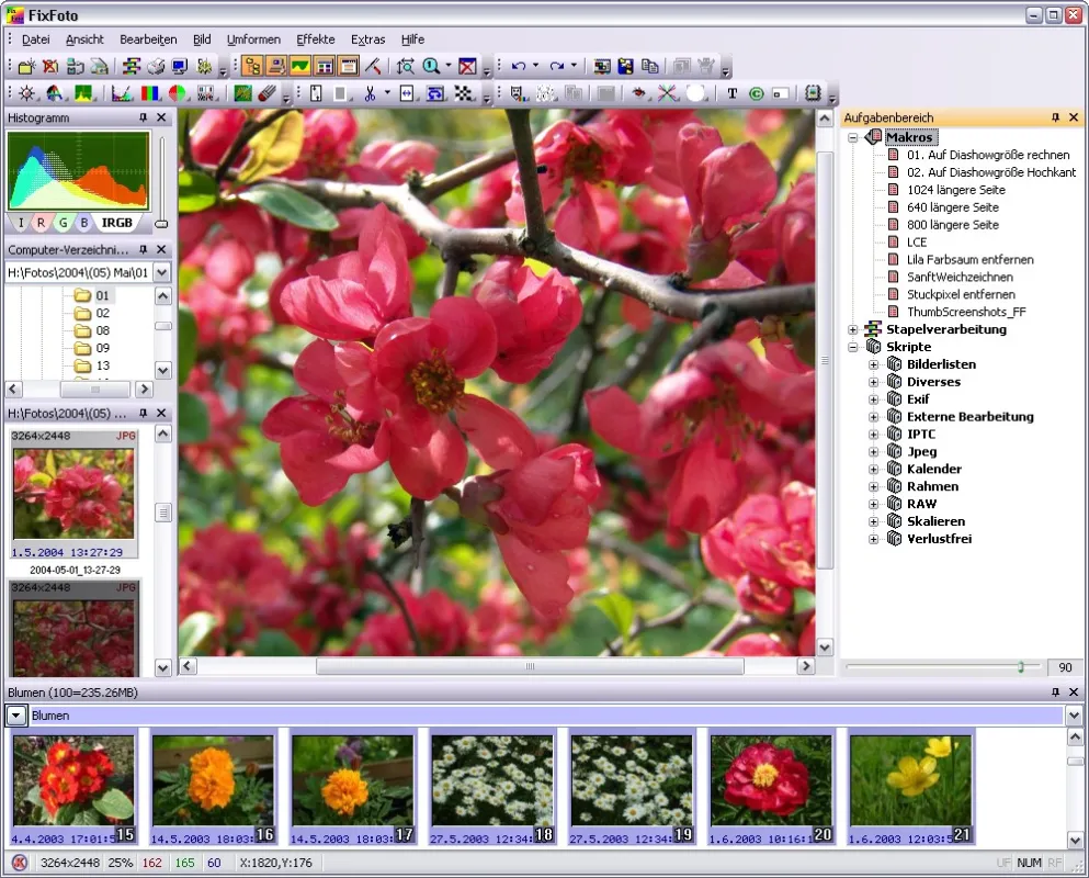FixFoto - Programmoberfläche
