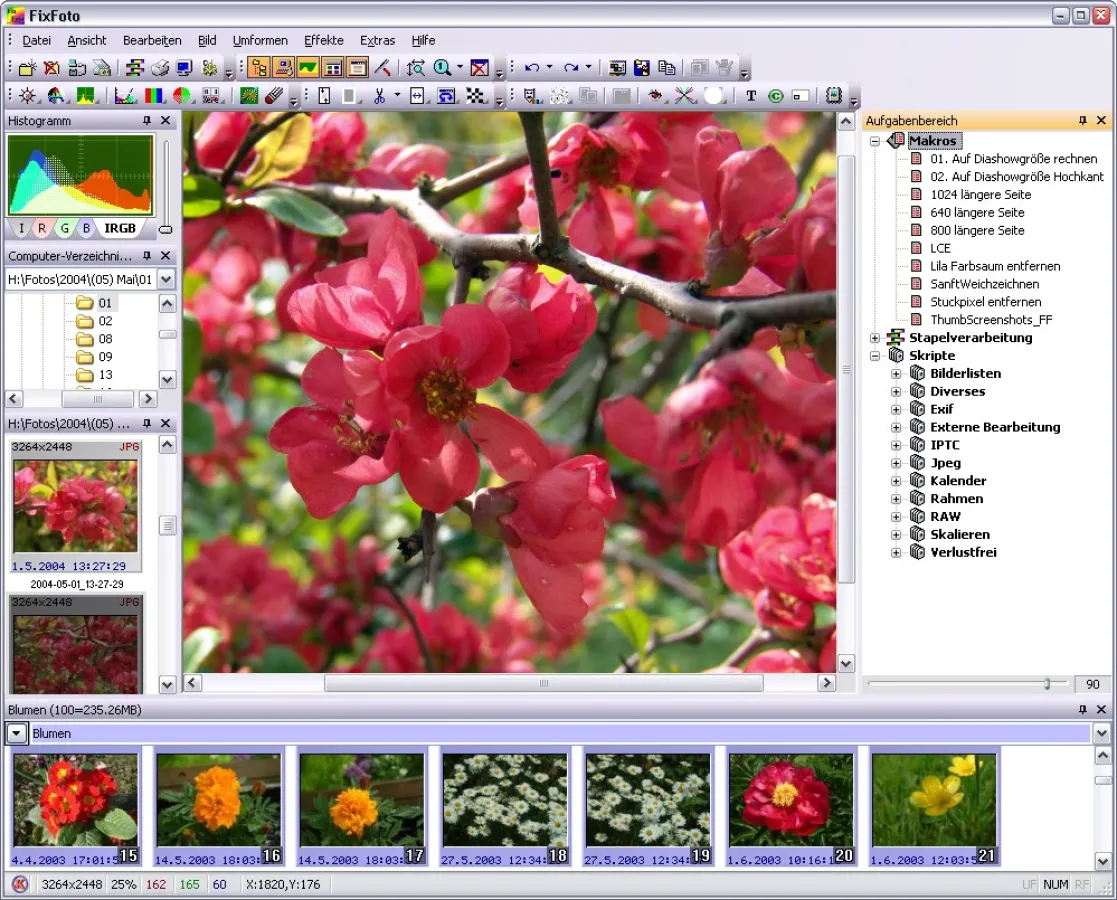 FixFoto - Programmoberfläche