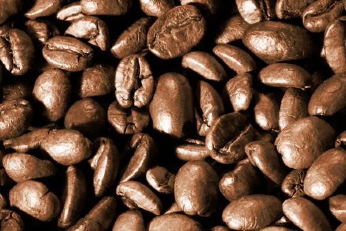 Kaffee: Arabica oder Robusta?