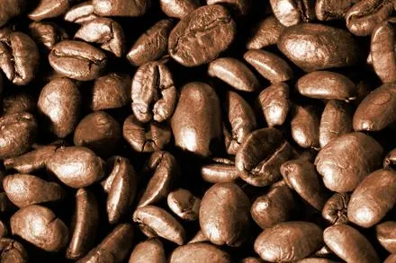 Bild: Kaffee aus Indonesien: Bald mehr Arabica?