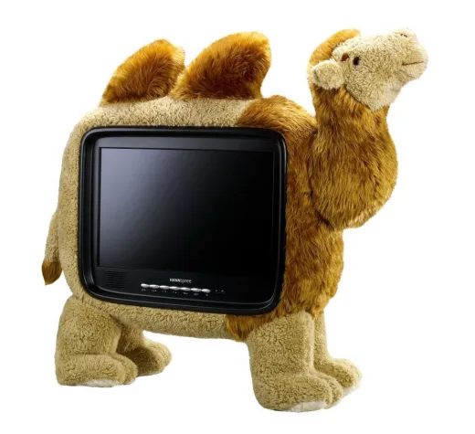 Bild: LCD-TVs im ungewöhnlichen Look
