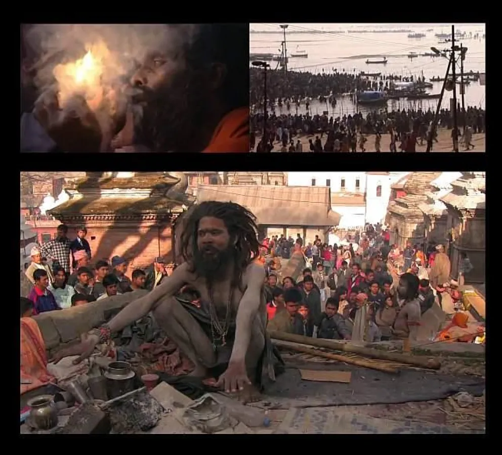 Sadhus beim Shivaratri, der 