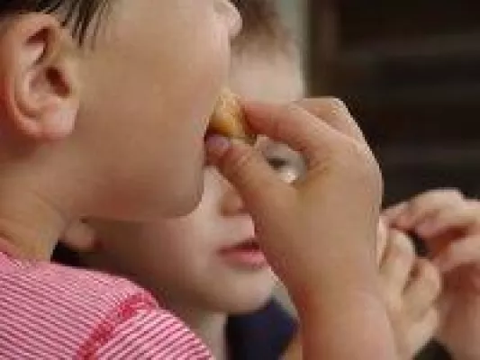 Bild: Der Ernährungsführerschein für Kinder