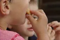 Bild: Der Ernährungsführerschein für Kinder