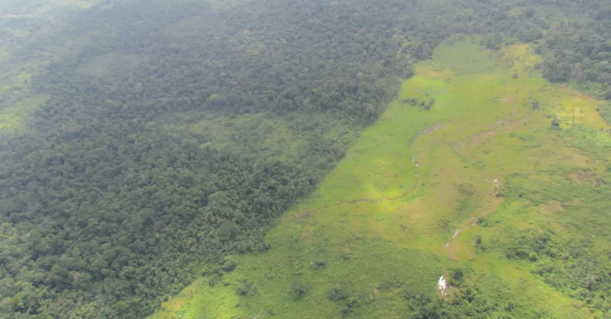 Entwaldete Fläche in Guatemala (© ©OroVerde - Die Tropenwaldstiftung)