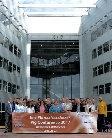 Schwein gehabt: Es geht wieder aufwärts Bild: Schwein gehabt: Es geht wieder aufwärts