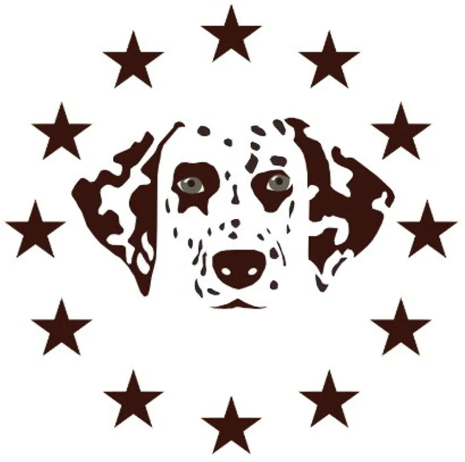 Deutscher Dalmatiner Verein e.V. (DDV) (© Deutscher Dalmatiner Verein e.V.)