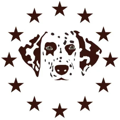 Bild: Deutscher Dalmatiner Verein e.V.