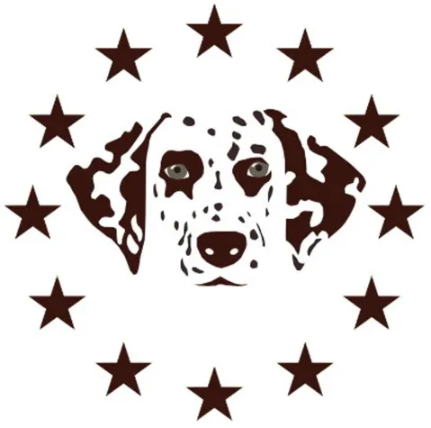 Bild: Deutscher Dalmatiner Verein e.V.