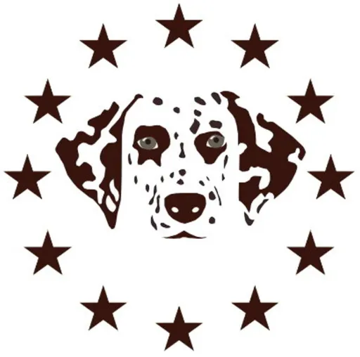 Bild: Deutscher Dalmatiner Verein e.V.