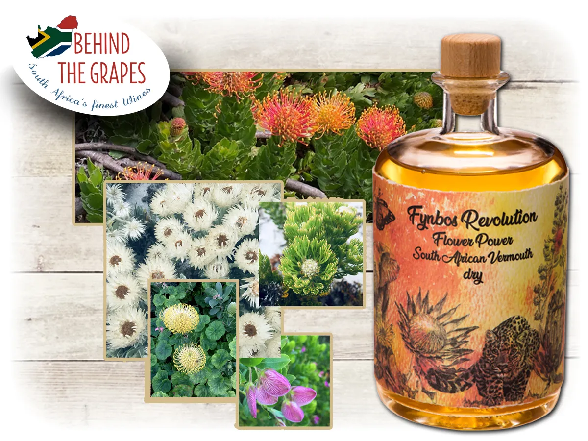 Flower Power Vermouth Dry bei Behind The Grapes (© Behind The Grapes / Fynbos Revolution)